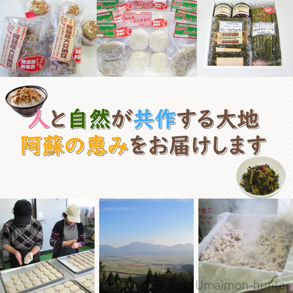 阿蘇産 大豆納豆 (30g×3個)×10袋 阿...の詳細画像2