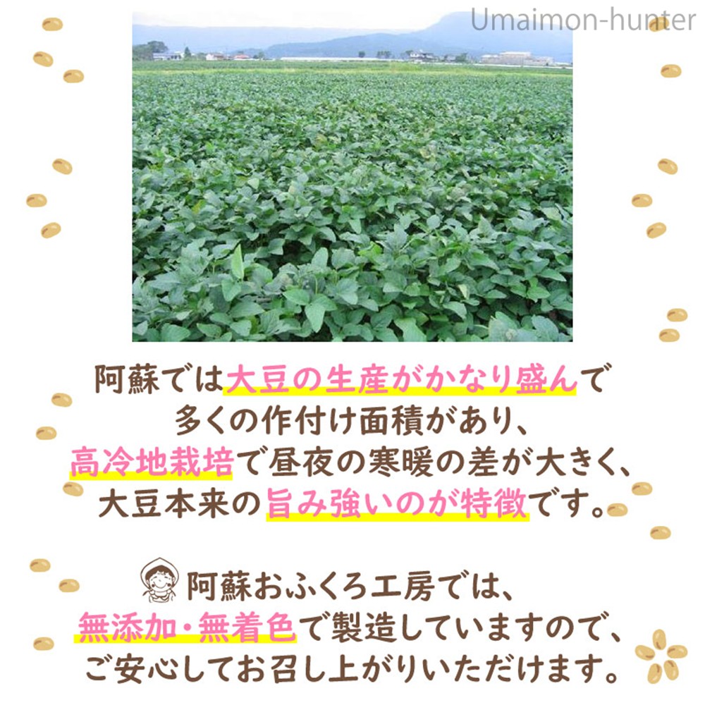 阿蘇産 大豆納豆 (30g×3個)×10袋 阿...の詳細画像3