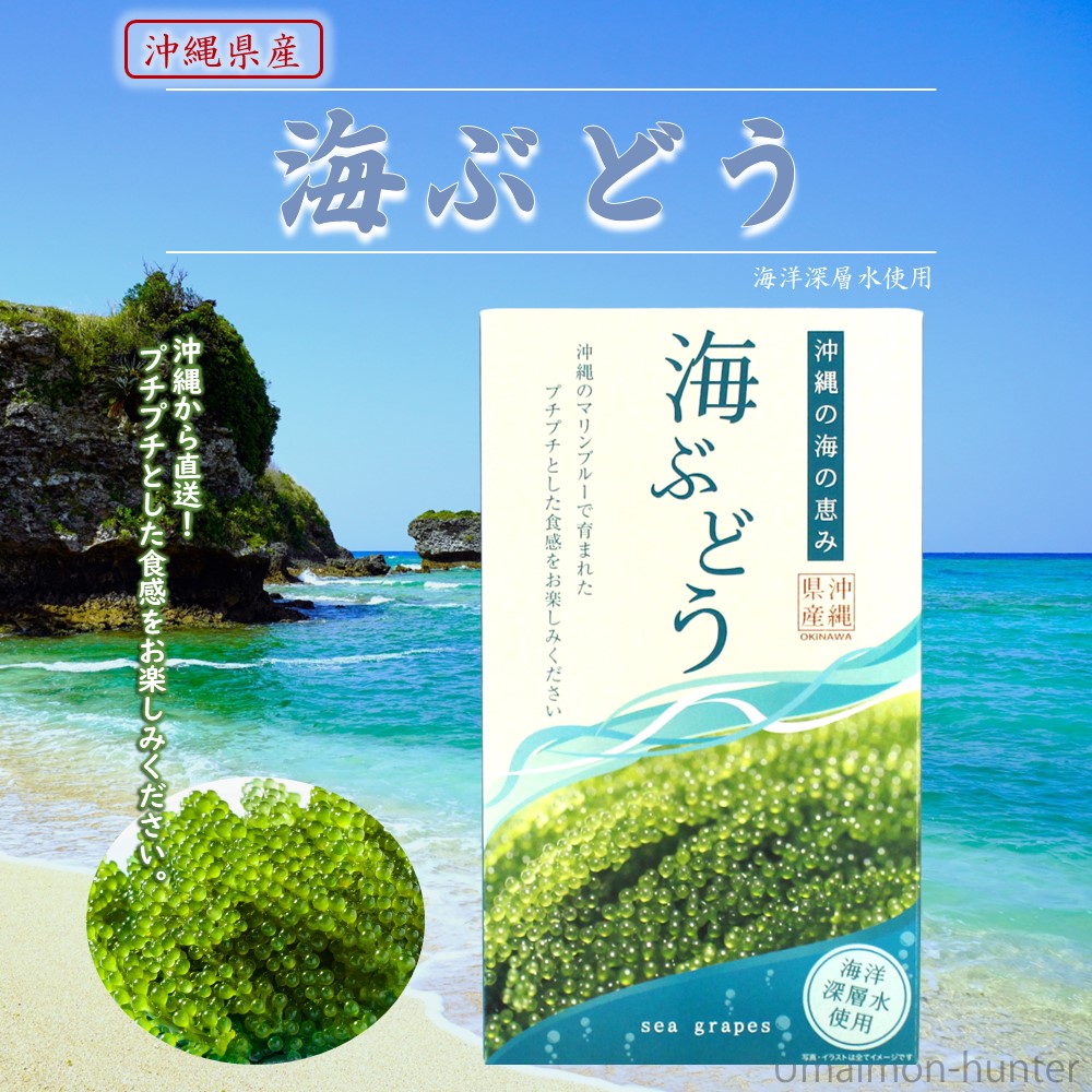 海ぶどう様 賞味期限2年】ふくらむぷちぷち海ぶどう（ぷちしゃきタイプ）30g×3pc