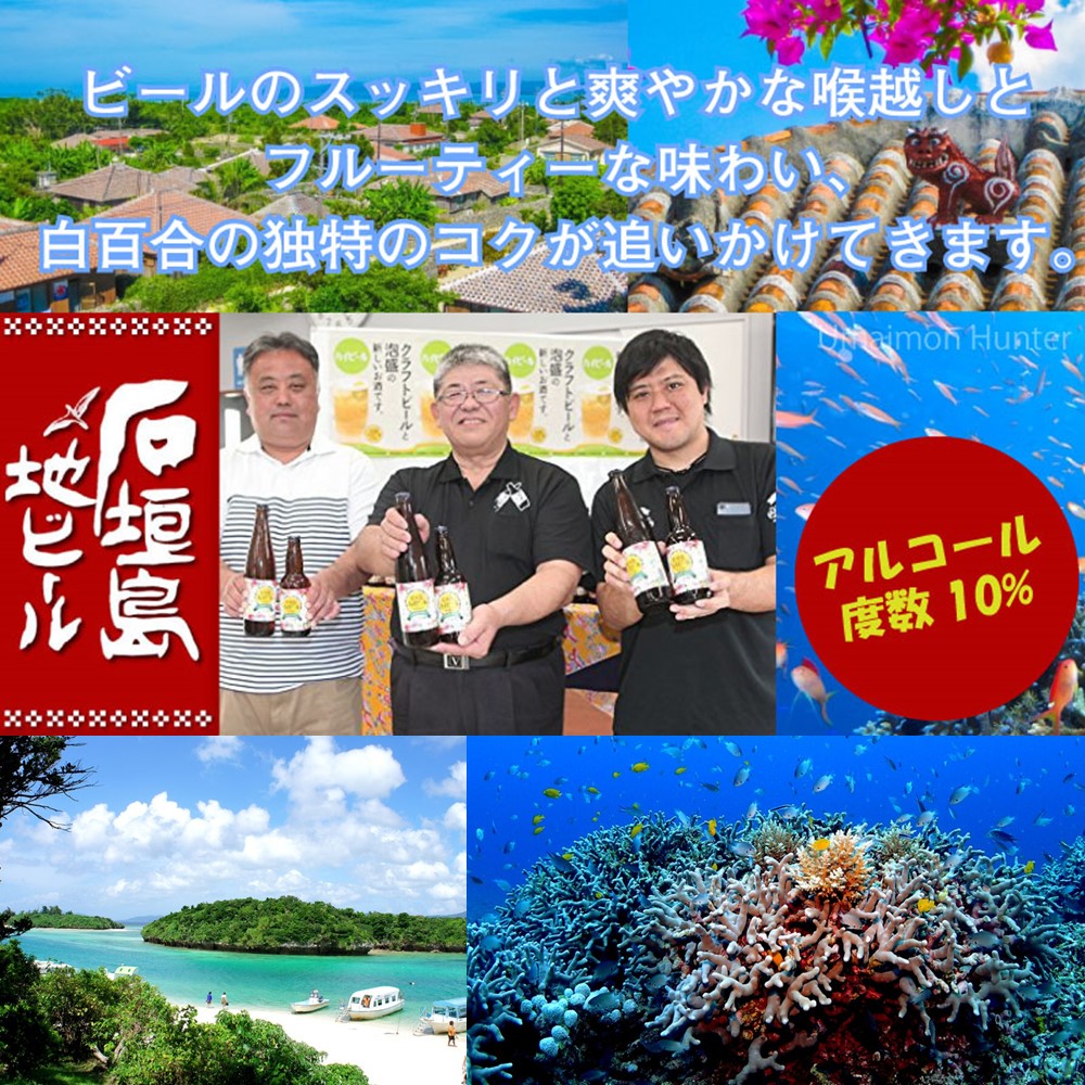 石垣島ハイビール 330ml×24本 石垣島ビール Hi-Beer ビール