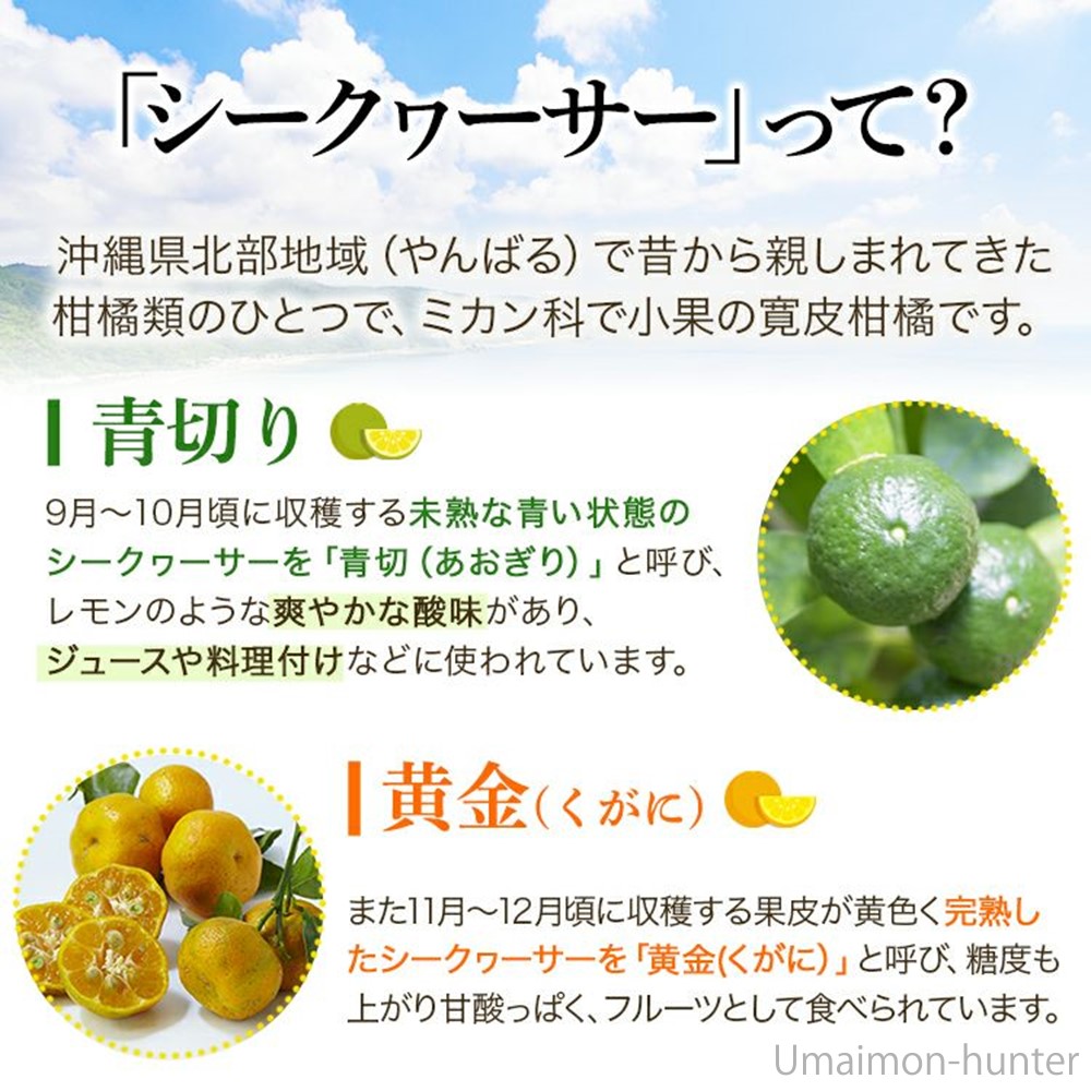 シークヮーサー５kg 沖縄大宜味村産 楽天市場】【楽天で6冠獲得】定期便 沖縄 大宜味村産 青切