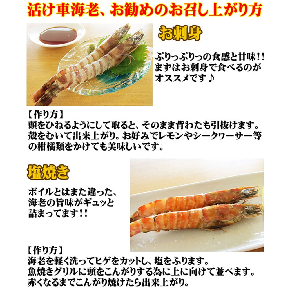 活き〆急速冷凍 久米島の車えび 500g 特大(15〜19尾)×2P 車海老 沖縄 人気 希少｜umaimon-hunter｜05