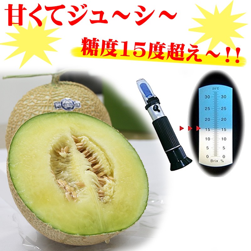 ギフト 静岡県産 温室高級マスクメロン 中玉 農家さんから産地直送でお届け お取り寄せフルーツギフト 静岡県 高級 贈り物 人気 一部地域追加送料あり  :KWMY-SOMMM-0000-GF-001:旨いもんハンター 通販 