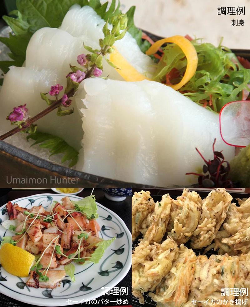 ソデイカ 短冊 5kg 沖縄県産 巨大イカ セーイカ 刺身 真空パック もちもち 歯ごたえ 条件付き送料無料 Msbs Sodik 5000 Nm 001 旨いもんハンター 通販 Yahoo ショッピング