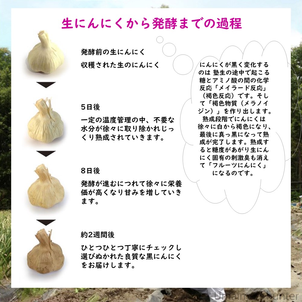 にんにく王子 Amazon.co.jp: 西友フーズ にんにく王子ガーリックスイート