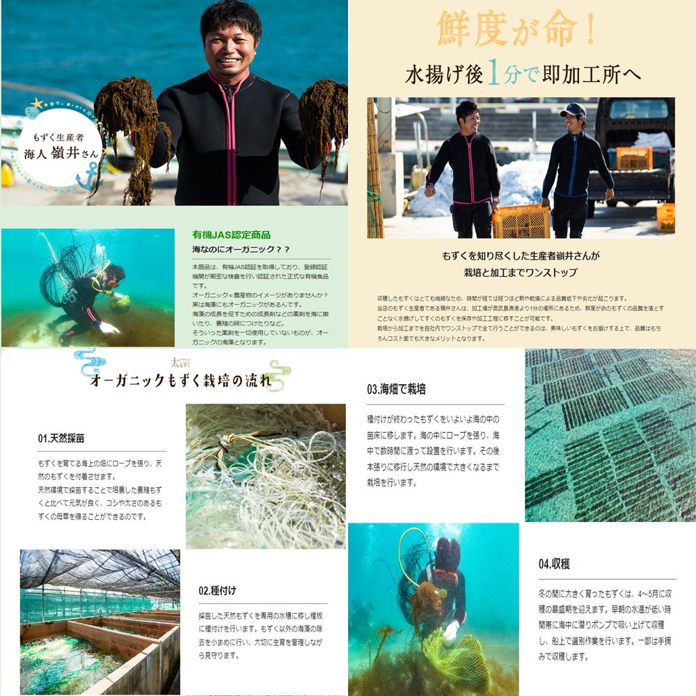 沖縄県 奧武島産 太もずく 420g×2P 島酒家 : 旨いもんハンター 沖縄県 奧武島産 太もずく 420g×2P 島酒家 : 旨いもんハンター