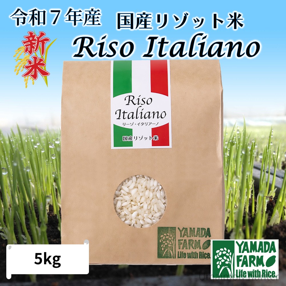 令和7年産 国産リゾット米 5kg 山田ふぁーむ 青森県 減化学肥料 減農薬_1