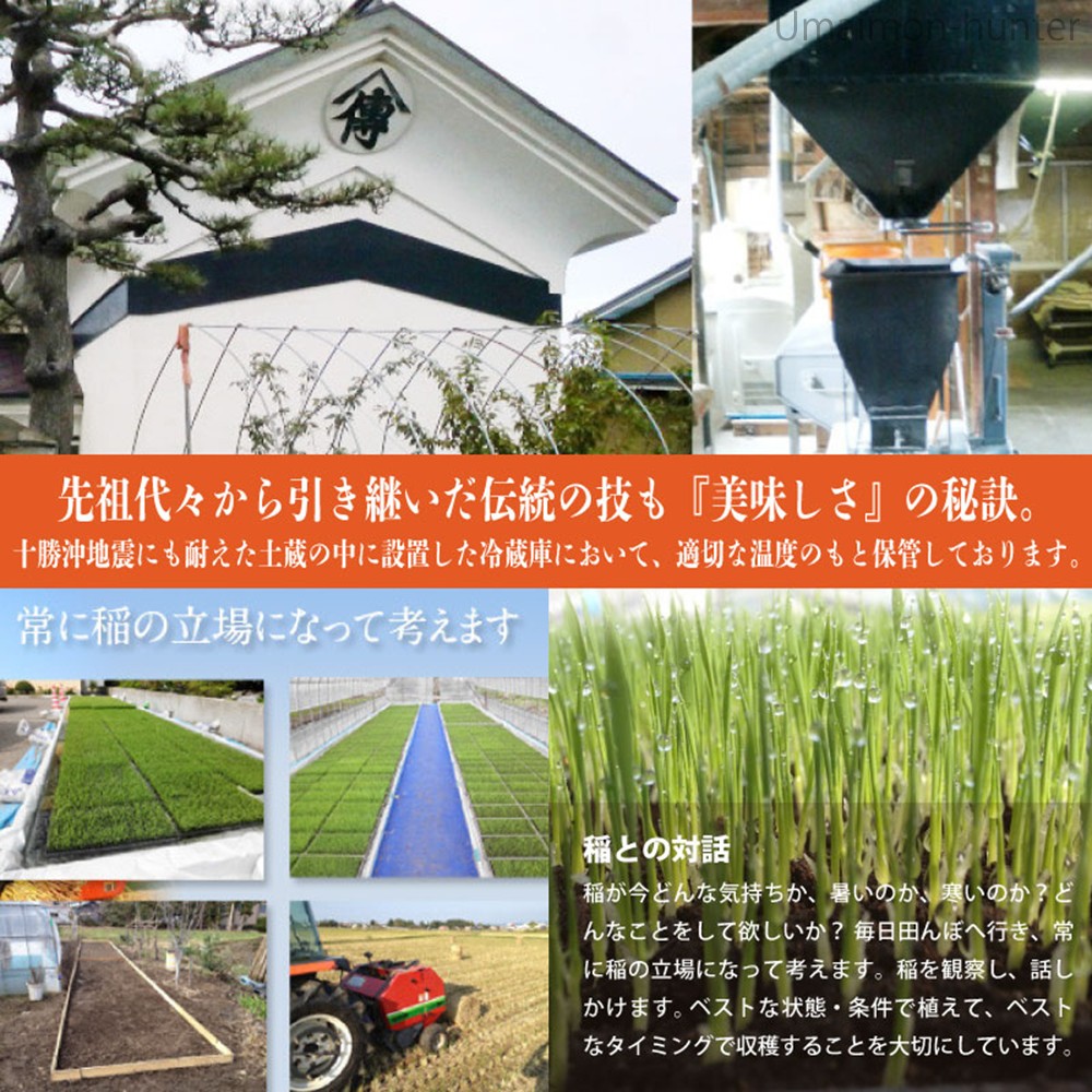 令和7年産 国産リゾット米 5kg 山田ふぁーむ 青森県 減化学肥料 減農薬_5