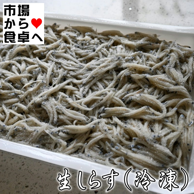 生しらす (冷凍) 500g【静岡県御前崎近海産】刺身用、生の鮮度に近い