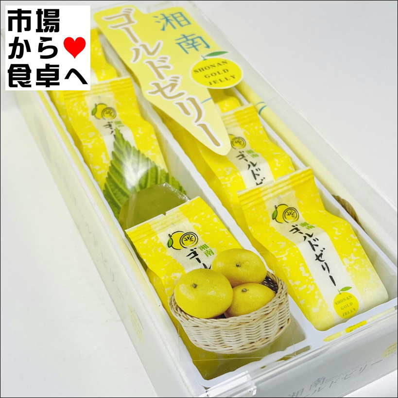 湘南え様おまとめ商品　2点 湘南え様おまとめ商品 2点 湘南え様おまとめ商品 2点