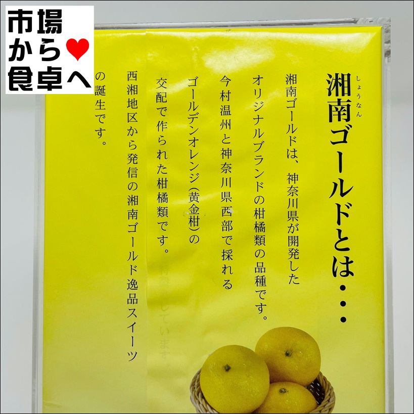 湘南ゴールドゼリー 2箱(1箱8個入り)【湘南ゴールド使用】爽やかな香り