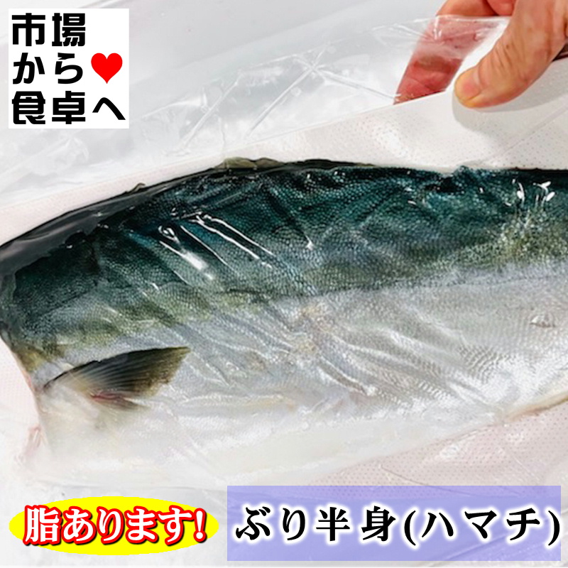 ぶり フィーレ 半身2枚(半身約1.5kg) 【脂あります・養殖ハマチ