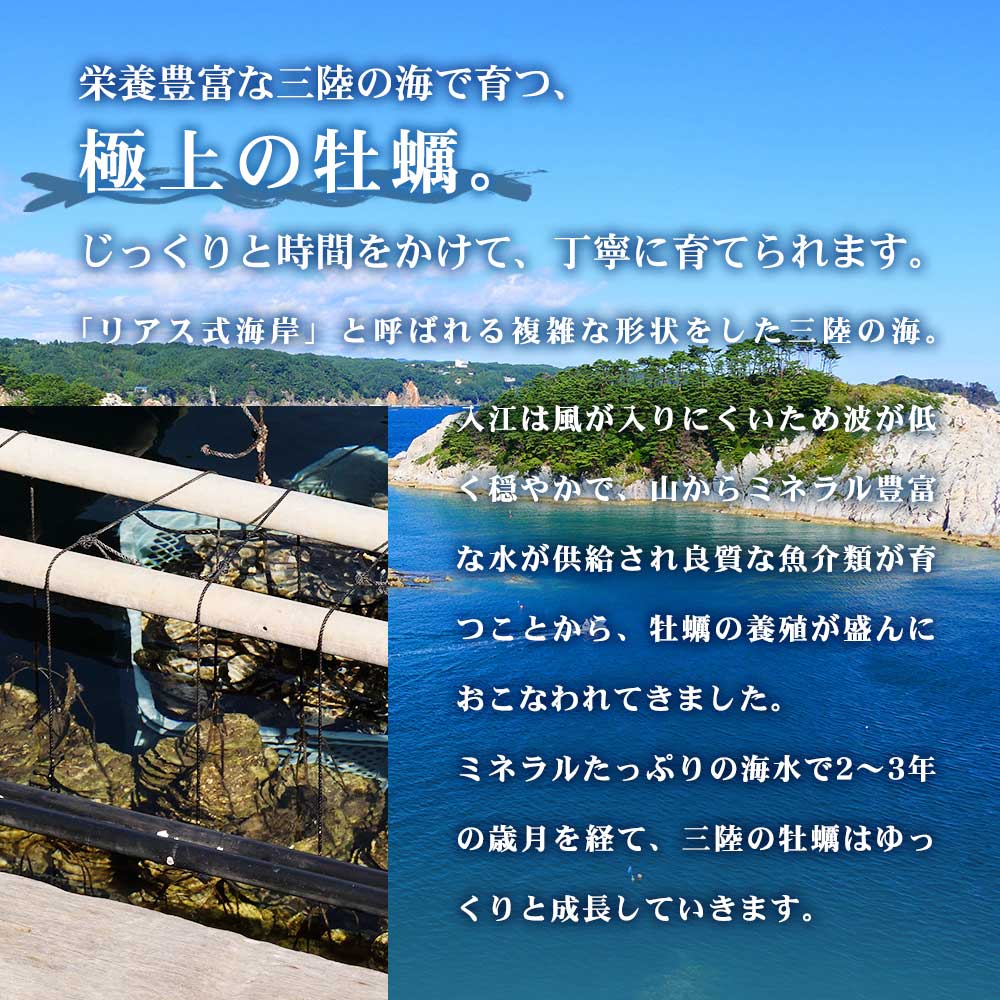 ミネラル豊富な三陸の海で2~3年の歳月をかけてゆっくり成長した極上の三陸産の牡蠣です。