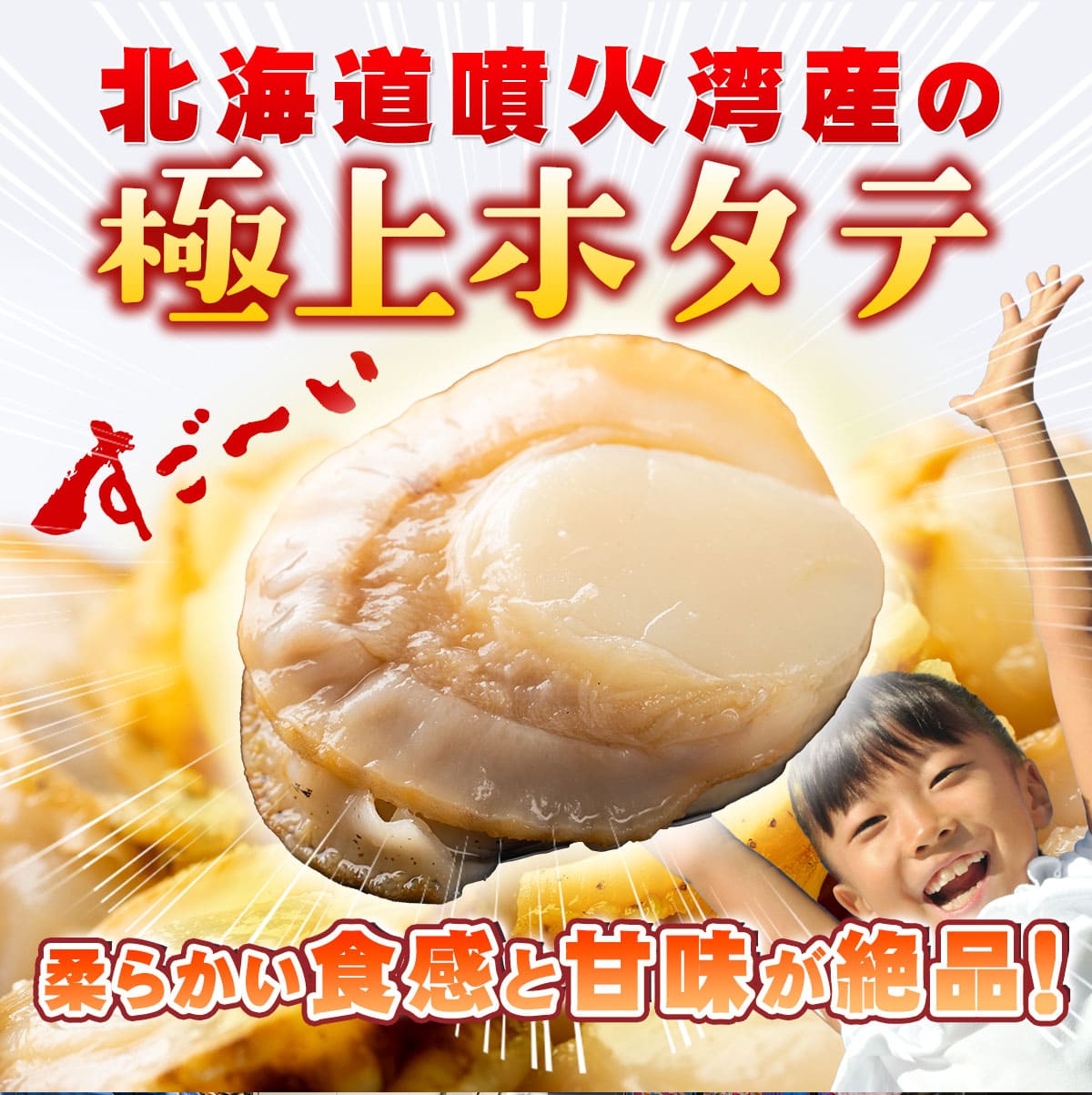 北海道噴火湾産 訳あり不揃いボイルホタテ 1kg（WEB限定）