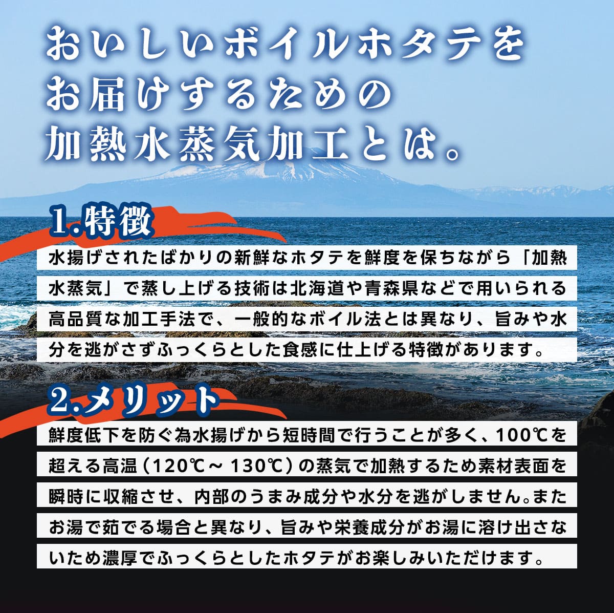北海道噴火湾産 訳あり不揃いボイルホタテ 1kg（WEB限定）