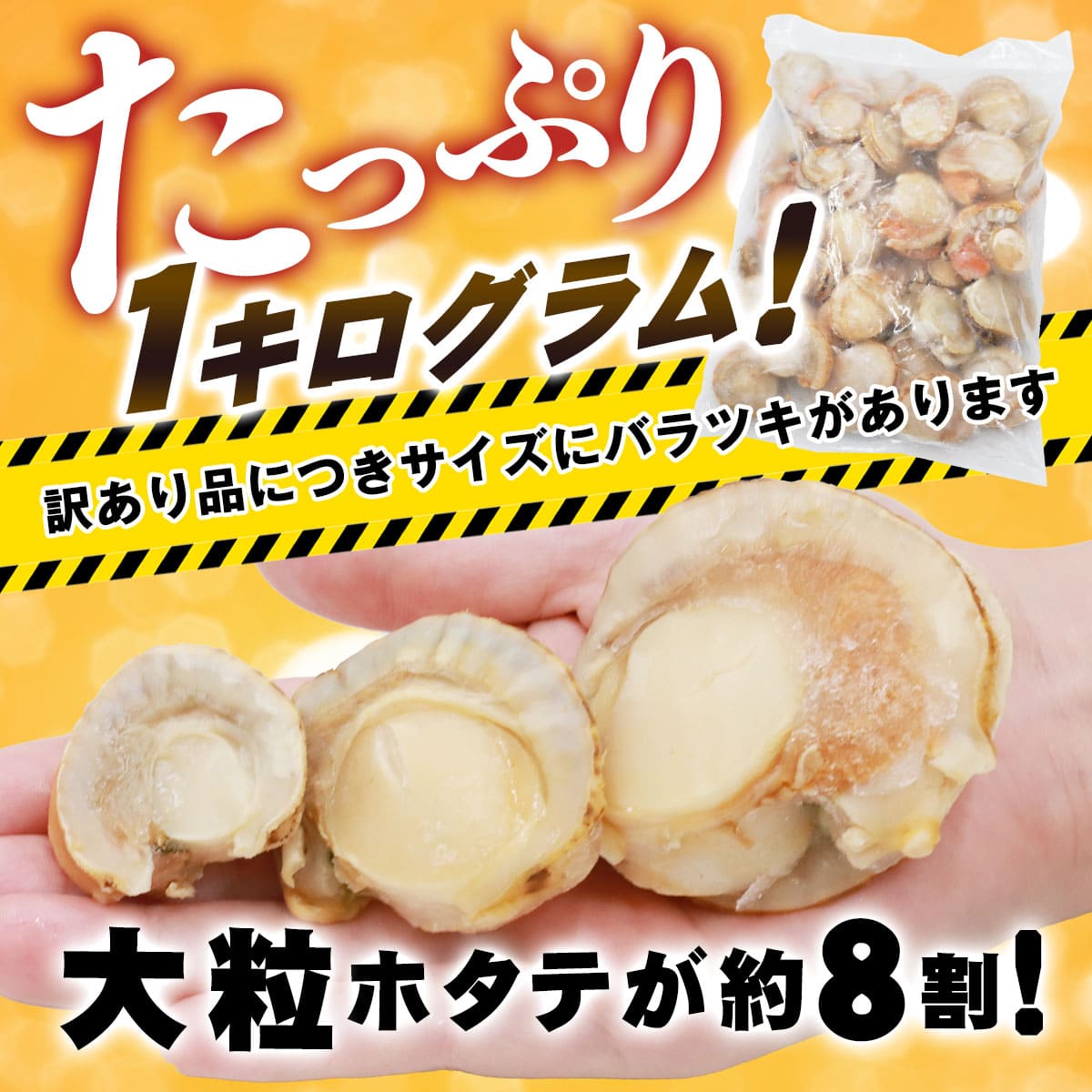 北海道噴火湾産 訳あり不揃いボイルホタテ 1kg（WEB限定）