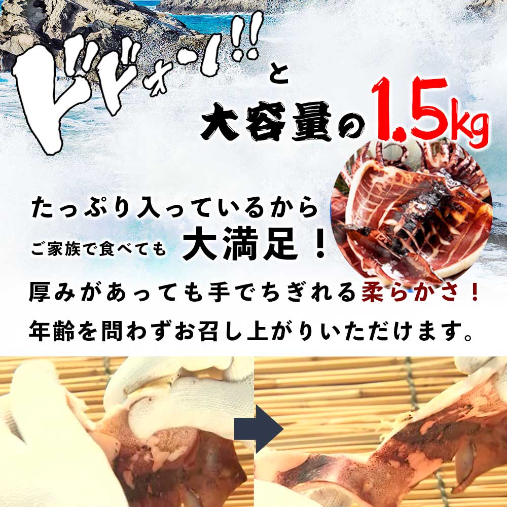 函館造り イカ開き干し（合計1.5kg）
