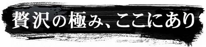 贅沢の極み、ここにあり