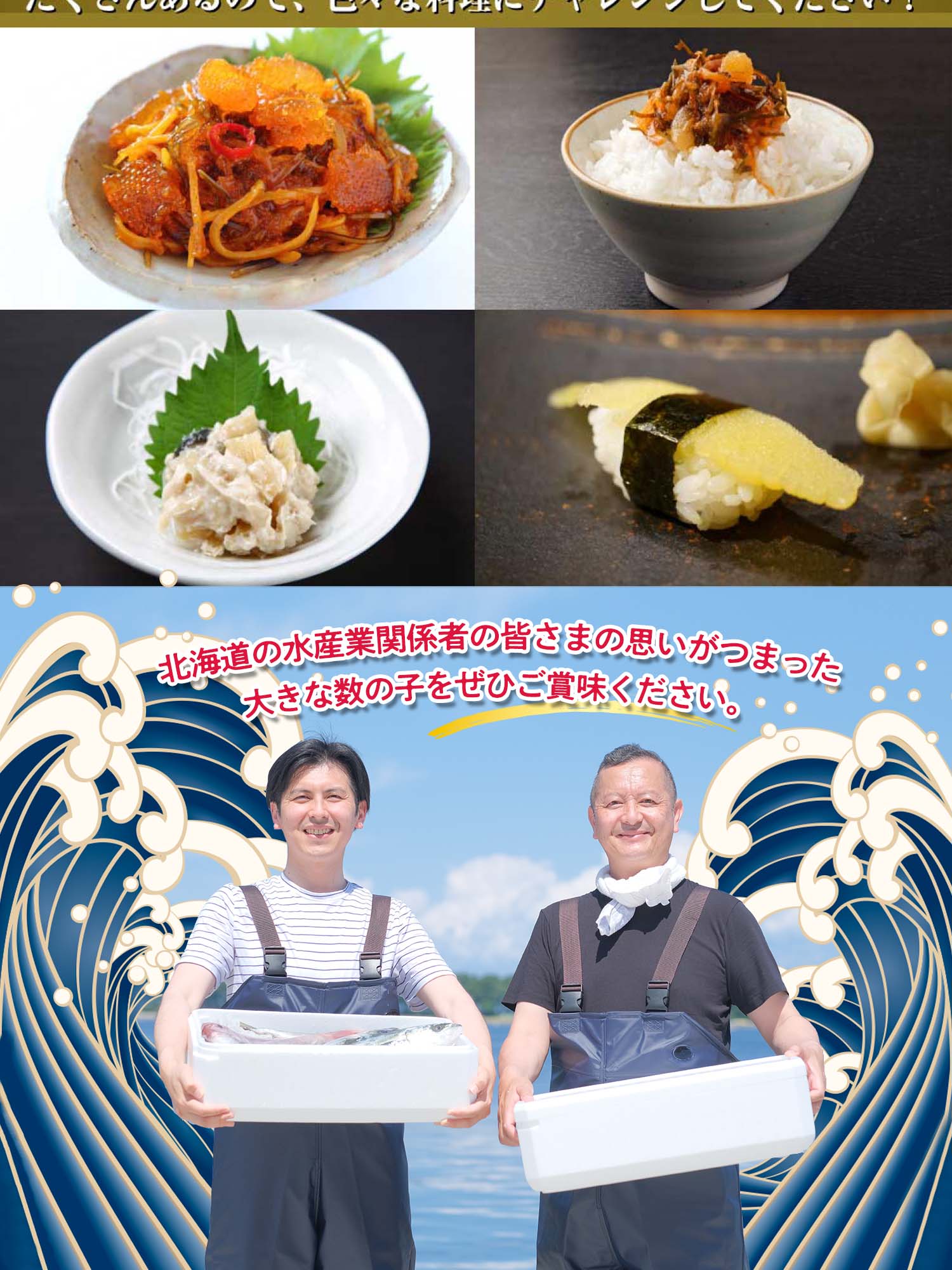 北海道産 特特大1本羽塩数の子500g×2