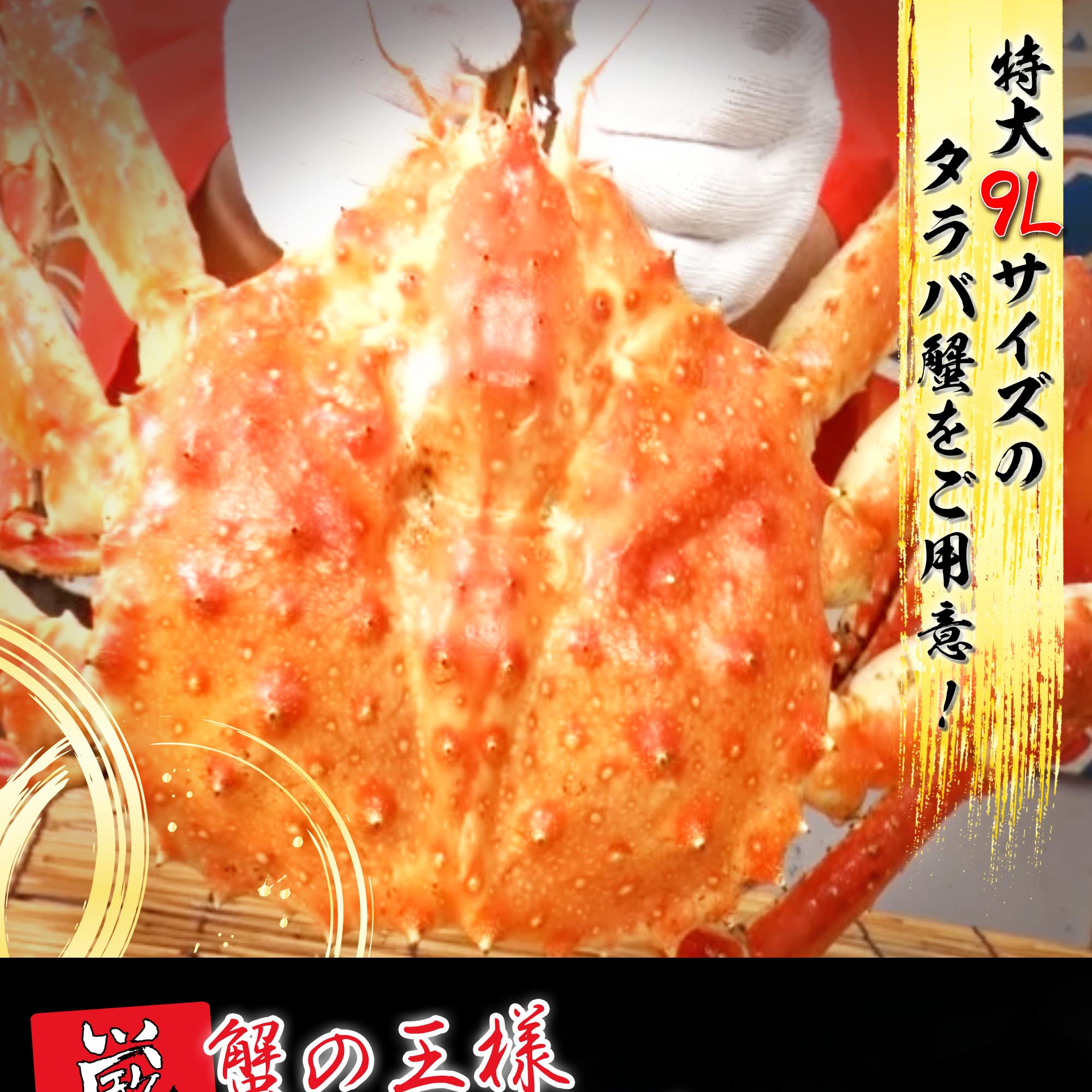 特特大本タラバ蟹脚 ボイル 9L　1.6kg（総重量2.0kg）