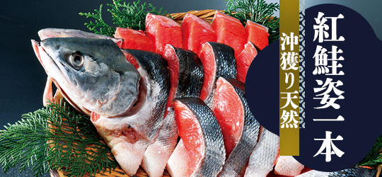 北洋紅鮭姿１本