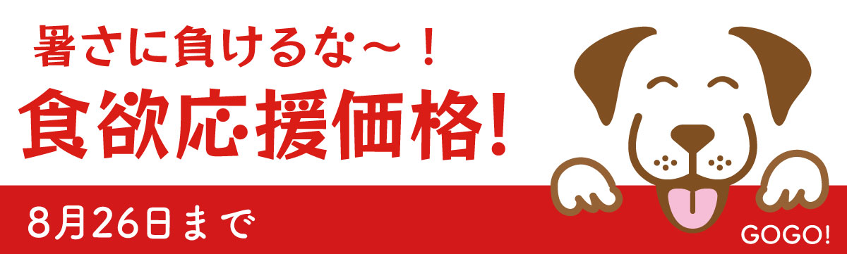 うまか7袋まとめ売り1袋あたり3,500円 東ハト なげわ・うましおバター味（小袋）18gx28袋 : エクセル