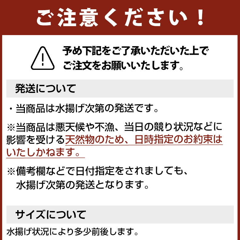 H 年末早割予約受付中 玄界灘 壱岐産天然寒ブリ4キロサイズ 1本釣り