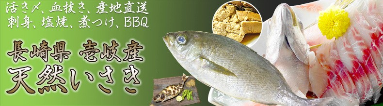 壱岐・長崎うまかもん屋 Yahoo店 - 産直 おすすめ鮮魚｜Yahoo!ショッピング