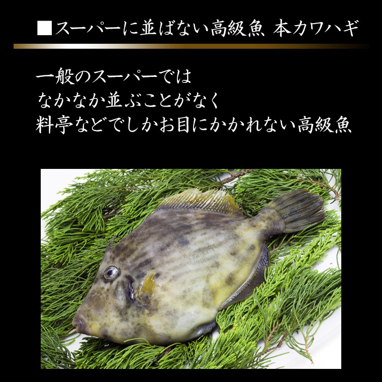 HH 長崎県 壱岐島産 天然本カワハギ 3匹 合計500g前後 冷凍冷蔵便発送