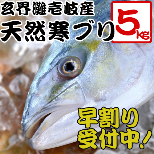 H 年末早割予約受付中 玄界灘壱岐産天然寒ブリ5キロサイズ  1本釣り 天然寒ぶり 1本もの 丸もの 送料込（北海道・沖縄は別途送料）