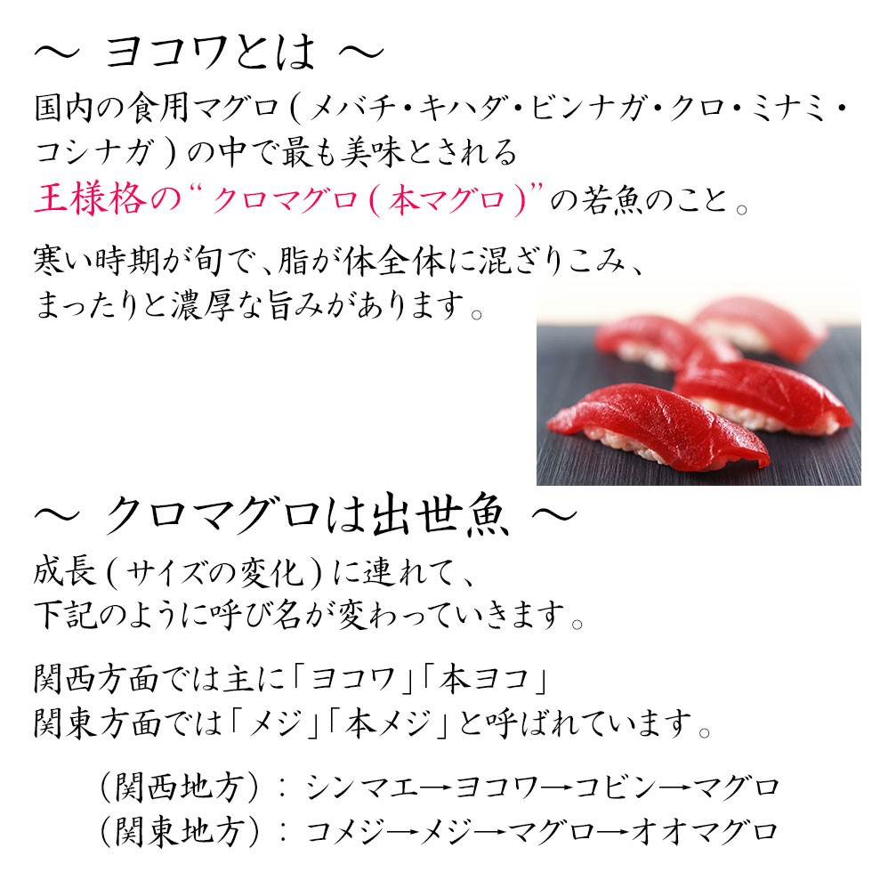 H 長崎県 壱岐産 天然 ヨコワ 8キロ 鮮魚 1本釣り メジマグロ 本マグロ クロマグロ ホンヨコ 本メジ まぐろ 鮪 生 8kg前後 まるごと Maguro 8k 壱岐 長崎うまかもん屋 Yahoo店 通販 Yahoo ショッピング