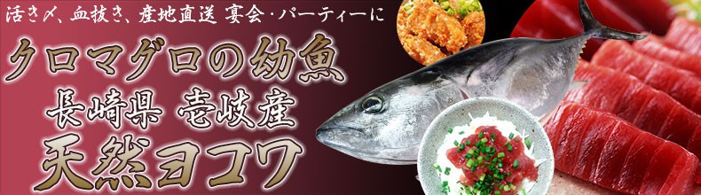 壱岐 長崎うまかもん屋 Yahoo店 天然黒マグロの幼魚ヨコワ 長崎県壱岐産 産直 おすすめ鮮魚 Yahoo ショッピング