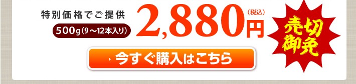 今すぐ購入