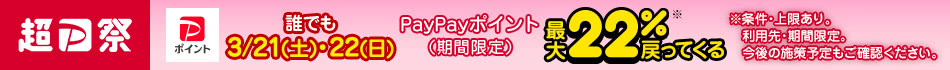 PayPay祭