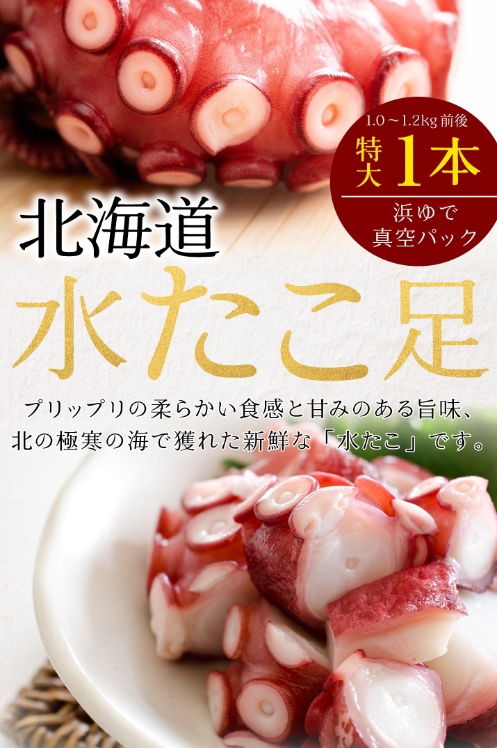 即発送可能】 ブランチ 水タコ 1本 約600ｇ supplystudies.com