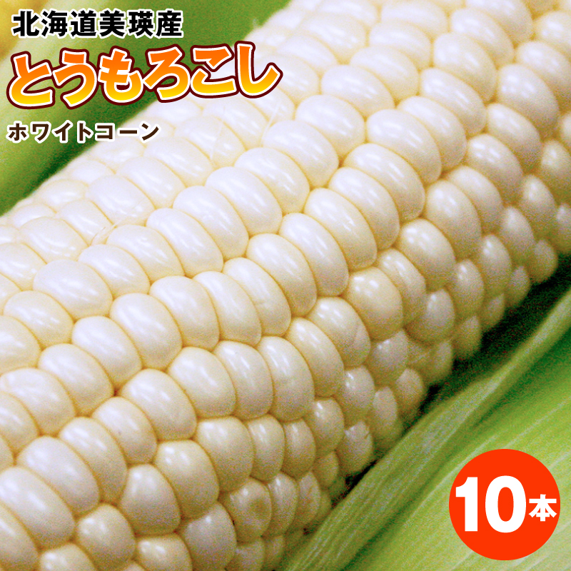 yoyo♪とうもろこし10本 fit=scale-down,w=1200