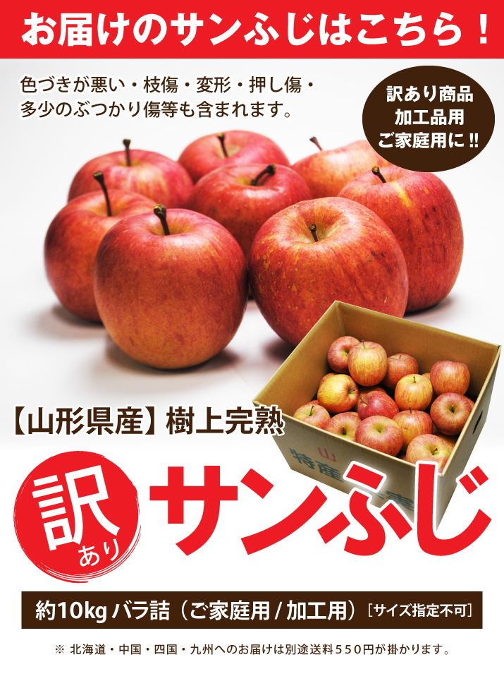 りんご サンふじ リンゴ ふじ フジ 産直 訳あり 山形県産 樹上完熟サン 