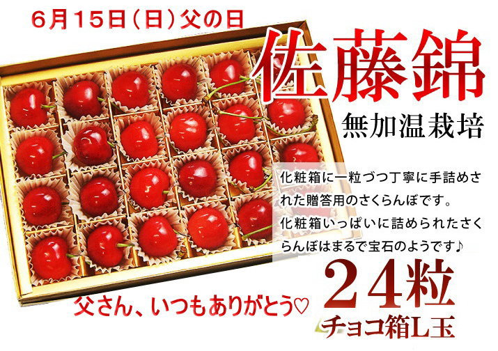 父の日のプレゼント さくらんぼ 佐藤錦24粒（L玉秀品）チョコ箱