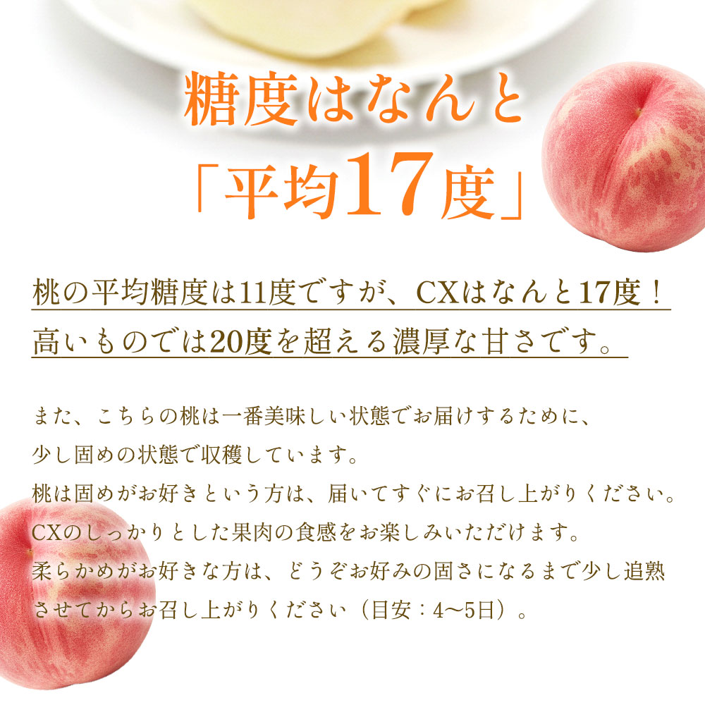 桃 もも モモ 白桃 福島県産 CX（シーエックス）白桃 秀品 約2kg(約6
