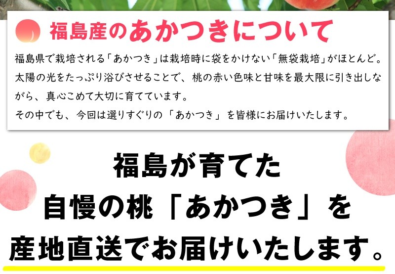 低価格の 送料無料 お中元 産地直送 福島市笹谷産もも 3kg あかつき