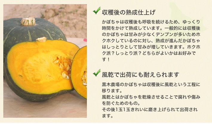 北の大地収穫祭セット