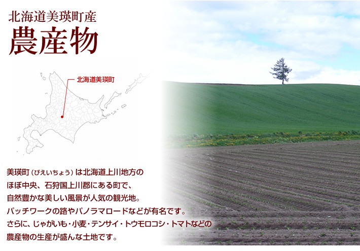 北の大地収穫祭セット