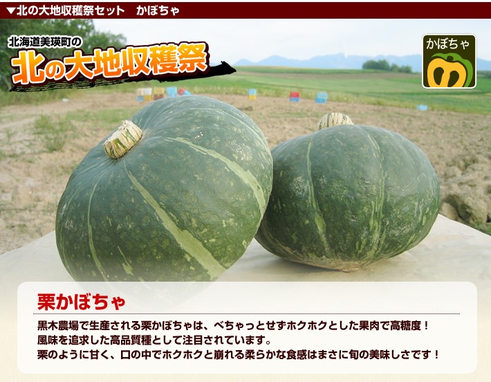 北の大地収穫祭セット