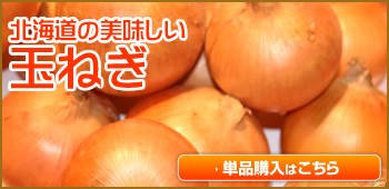 北海道玉ねぎ単品