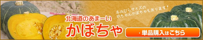 北海道かぼちゃ単品