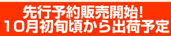 先行予約販売