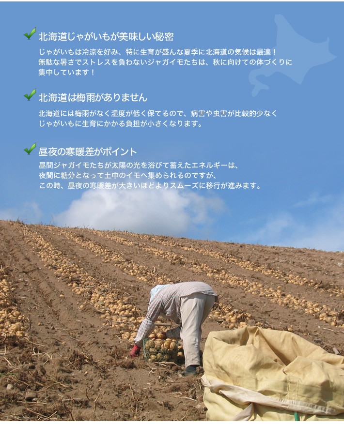 北の大地収穫祭セット