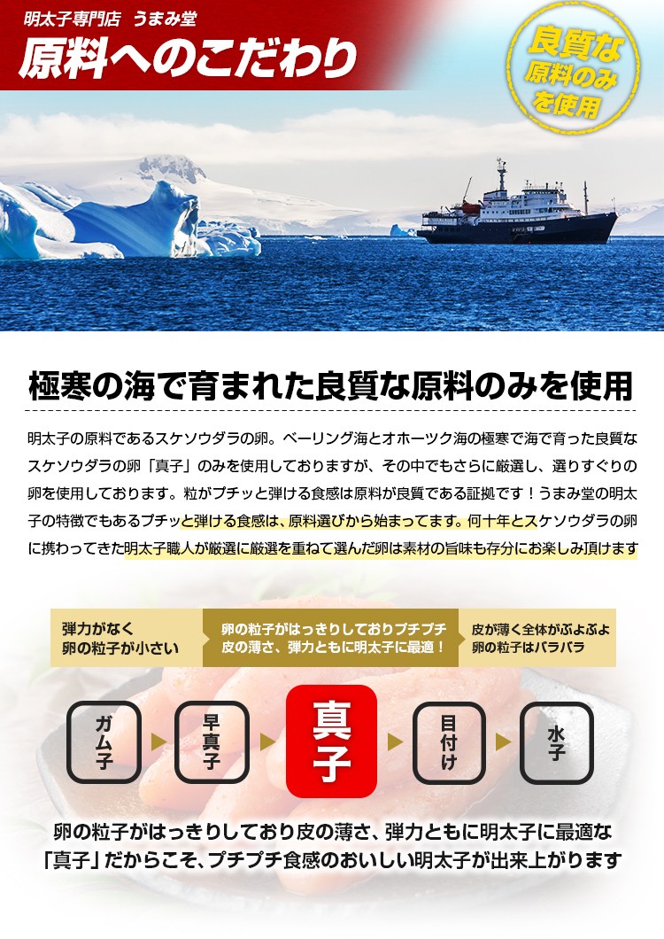 原料へのこだわり 極寒の海で育まれた良質な原料のみを使用 卵の粒子がはっきりしており皮の薄さ、弾力ともに明太子に最適な「真子」だからこそ、プチプチ食感のおいしい明太子が出来上がります