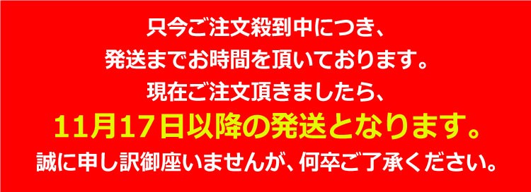 ご注文殺到につき、発送までお時間頂いております