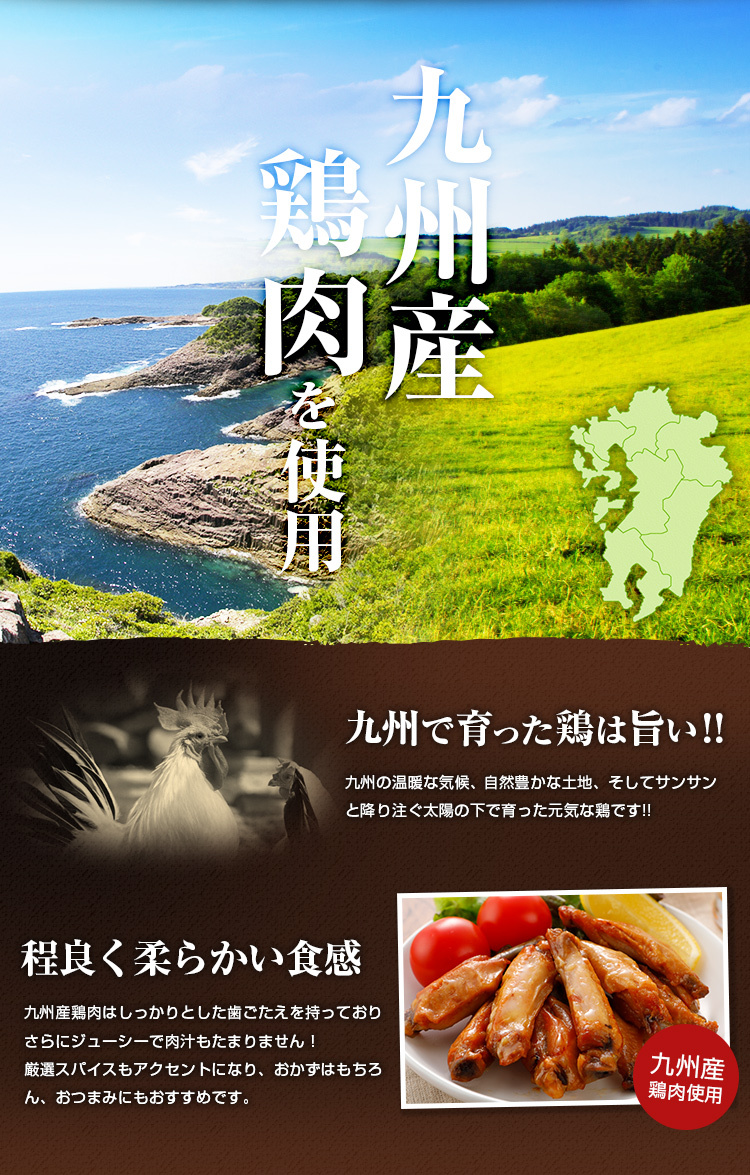 チキン スティック バー 7本×3パック メール便 送料無料 セール 1000円 鶏 肉 九州...Y-Z book store